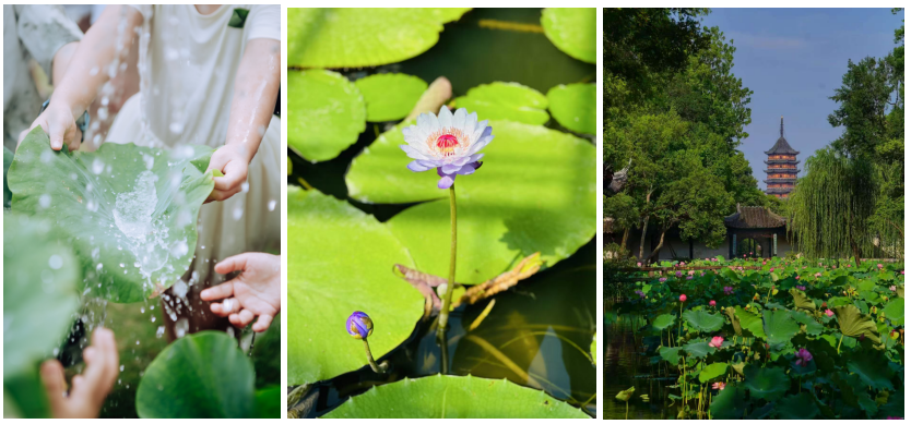 微信图片_20250210095114